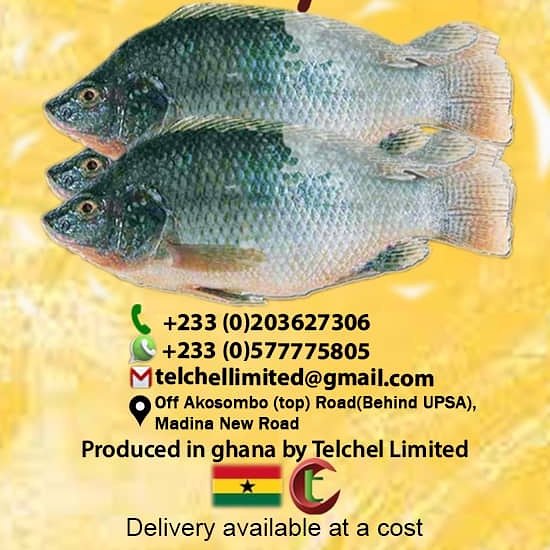 Telchel Limited (@LimitedTelchel) / Twitter