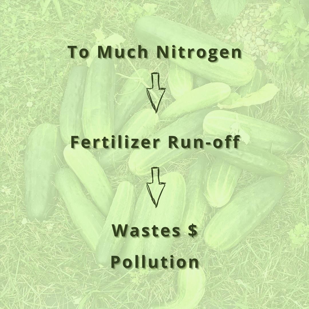timberline_int's tweet photo. Monitoring your soil leads to more profits! 🌱 Make sure you're monitoring your soil with reliable and easy equipment. Find out more at https://t.co/aAwm1JzwIX #agronomy #agriculture #soiltesting #soilhealth #agtesting #environmentaltesting https://t.co/xk5ZYeWBiu