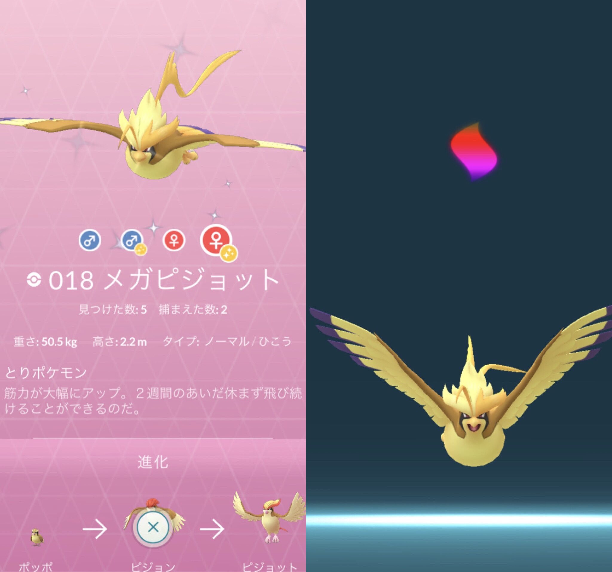ひかぴか メガピジョット図鑑 完了 二匹目は あえて色違いに してみました ポケモンgo Pokemongo メガシンカ Megaevolution メガポケモン Megapokemon メガピジョットpidgeot T Co Gonjlueone Twitter