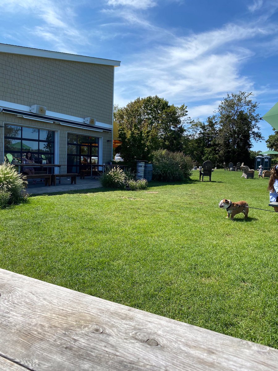 LIBreweries's tweet image. Went to @greenportbrew and enjoyed their 11th Anniversary DIPA. It was a juicy delight coming in at 11% ABV. If it’s still available give it a try.

#craftbeer #greenport #peconic #greenportbrewery #drinklocal #longisland #dipa #hoppy #hops #microbrewery #northforkcheer