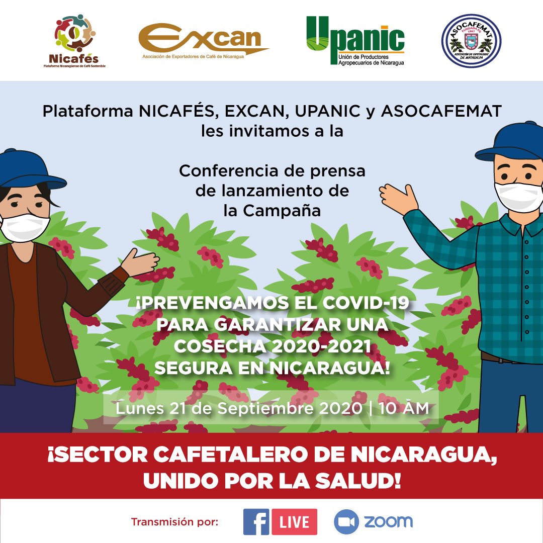 Asociación de Exportadores de Café de Nicaragua tweet media