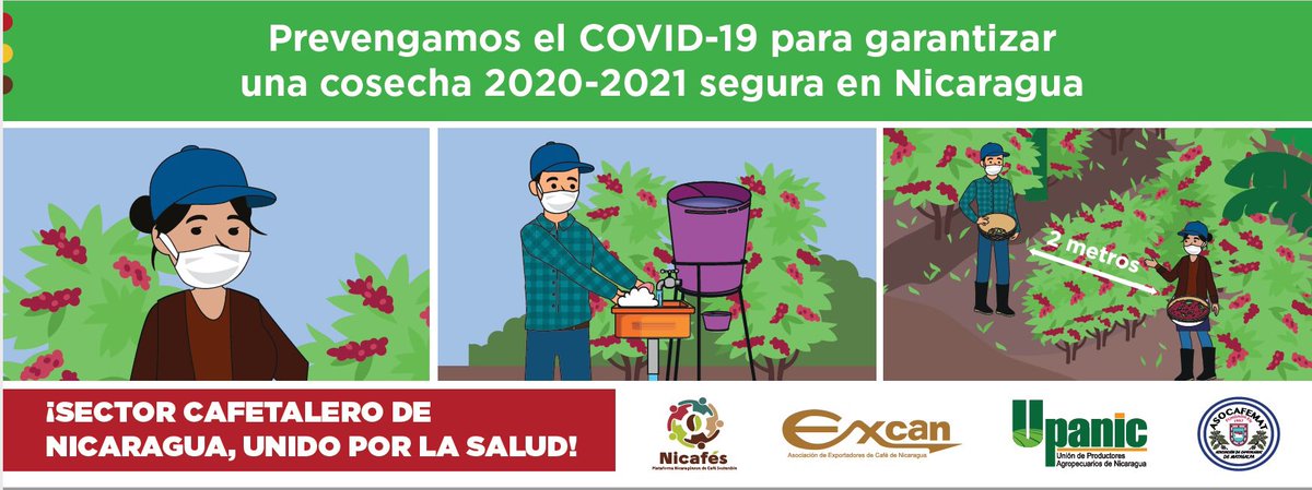 Asociación de Exportadores de Café de Nicaragua tweet media