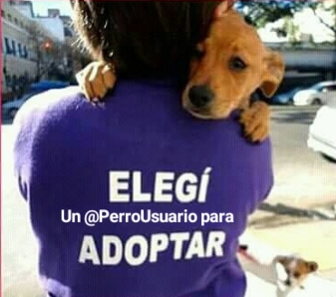 Siiii y cada vez somos más 💕🐾🐾💕