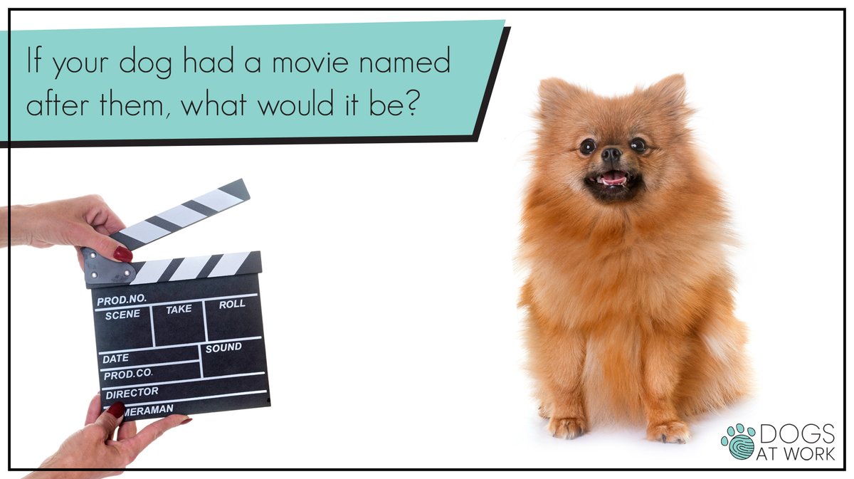 If your dog had a movie named after them, what would it be?
