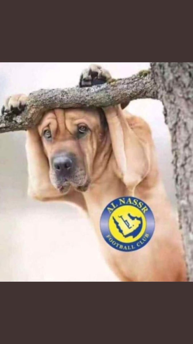 #كلنا_الهشبول