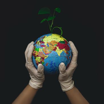 Quiddity encourages poets to send work for a special print edition, MMXX CE: 2020 in Poetry: cocolit.org/quiddity.

This weekend, we are celebrating the work of Dipika Mukherjee: Read and listen to "K Block, Chittaranjan Park," in our most recent issue: buff.ly/3cjlORZ