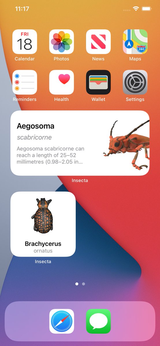 Momeks's tweet image. Widget for Insecta 
#iOS14  #WidgetKit