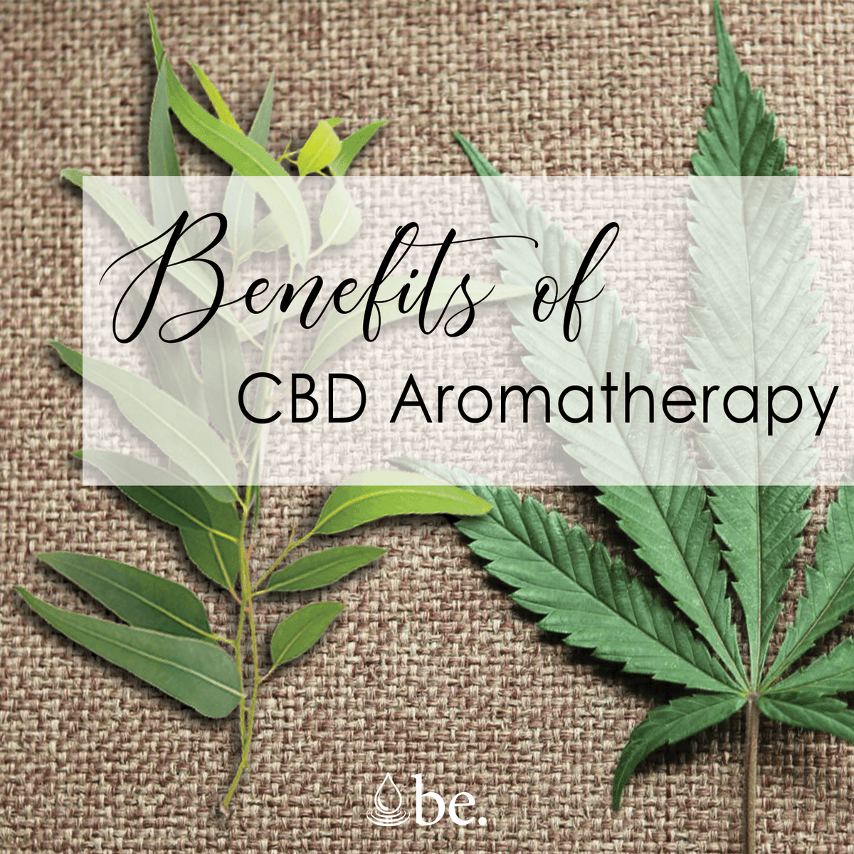 BroadEssentials's tweet photo. Have you tried High CBD Aromatherapy?  Achieve greater results than with traditional aromatherapy alone with Broad Essentials CBD-infused Essential Oils.  

Save 20% on your first order!

https://t.co/esk5nGrWVb https://t.co/T1wcT1x1dm