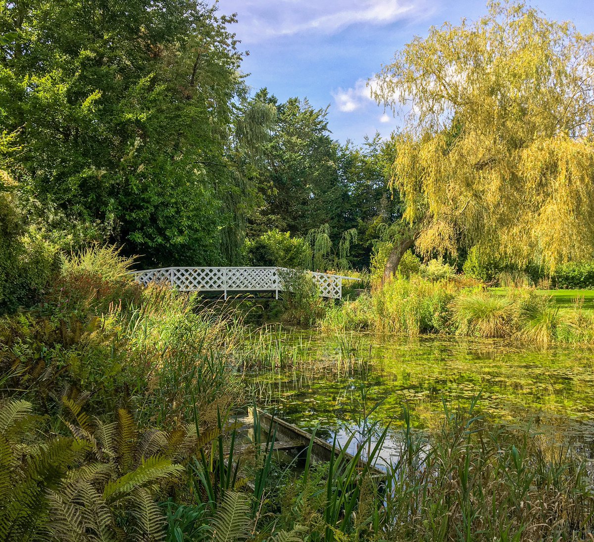 TimDesigner's tweet photo. #gooderstonewatergardens #gooderstone #norfolk #nature #watergarden #trees #water #pond #reflection #reflections #bridge #boat #flowers @GooderstoneWGdn @visitnorfolk @vstnorthnorfolk @jasonappleton87 https://t.co/0RCn1f8qGu