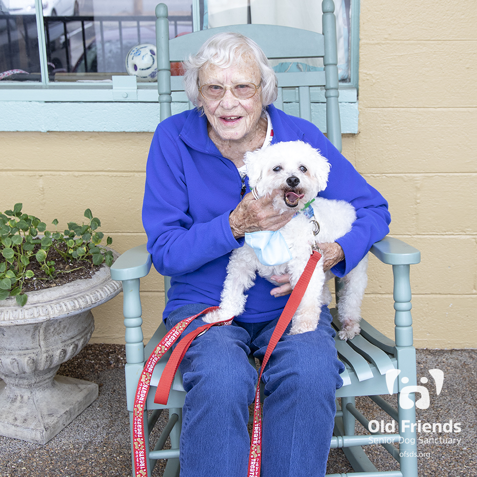oldfriendssds's tweet photo. FOSTER ALERT!!!
Pierre is headed to his forever foster home! Thank you for opening your heart and home to this wonderful dog! Happy Tails!
#ofsds #ofsdspierre #seniordogs #ofsdsfostered #fostered https://t.co/VZBYSc0FQT