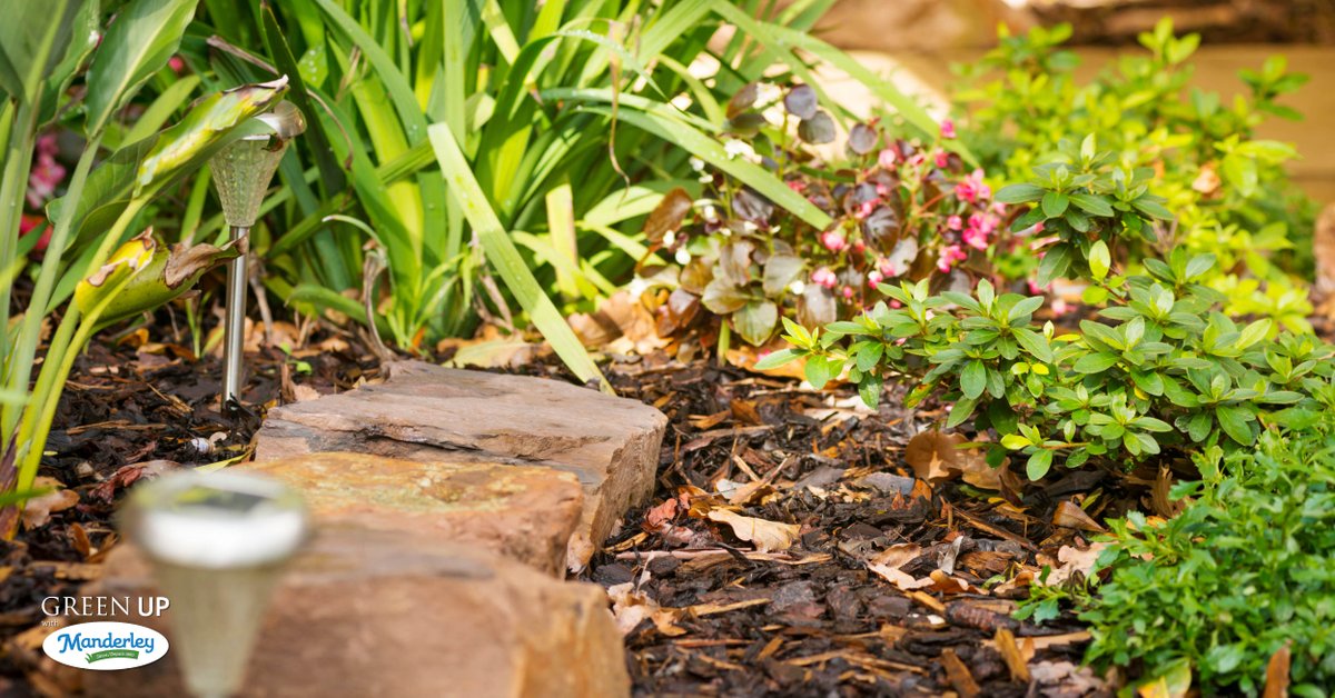 Looking to use up your last little bit of mulch? Apply a 3-inch-thick mulch layer in the fall to insulate plant roots and save your plants from the stress of a harsh Canadian winter!

#outdoors #fall #landscape #backyard #outdoorliving #yard #mulch #GreenUp!