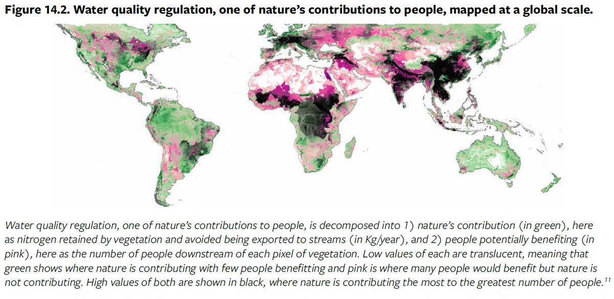 IPBES's tweet photo. 💧#AichiTarget 14 has not been achieved, states #GBO5:
🌳'The capacity of #ecosystems to provide the essential services on which societies depend, such as #water continues to decline
🍲It affects disproportionately poor & vulnerable communities'
https://t.co/YuNPsZynWL https://t.co/gGiyZQyQ5R