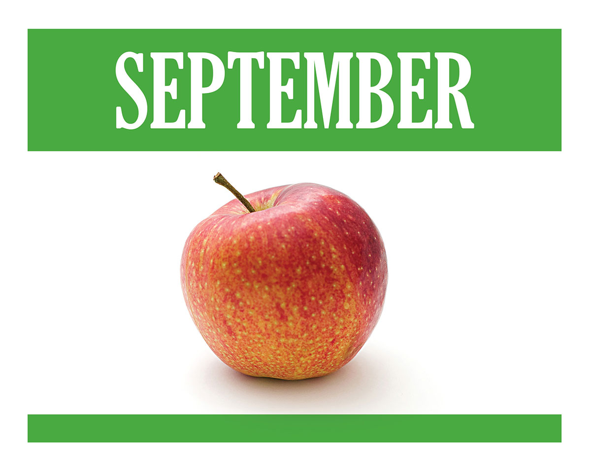 Stop_Food_Waste's tweet photo. Did you know that Irish apples are coming into season? Seek them out. They're delicious!
πππππ #valuefood #stopfoodwaste https://t.co/RE3sXtbMHW