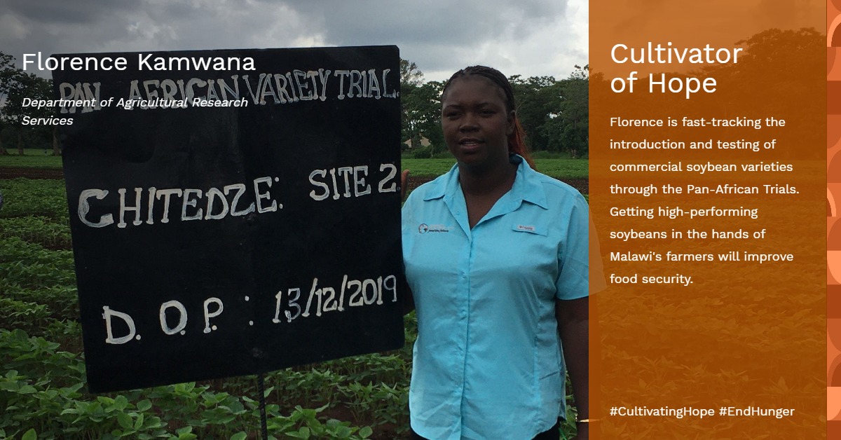 Florence's leadership has been pivotal in the submission of 3 new soybean varieties for release. These new soybean varieties, identified through SIL’s PATs, will soon be available to farmers across Malawi, helping to increase yields nationwide. #CultivatingHope #EndHunger