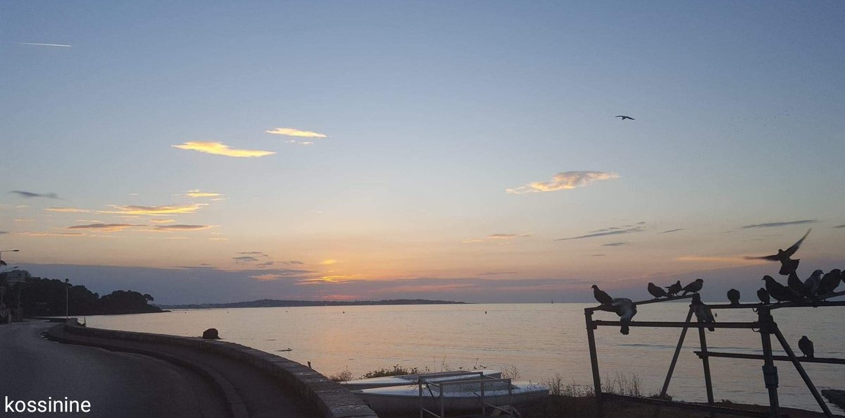 Cannoise06400's tweet photo. Moure Rouge 🤩
#cannes #tourism #southoffrance #CotedAzurFrance #sea #cliud #sky #photography #doves #nature #picoftheday #naturetheraphy #sunset #boat #beautiful #peaceful #photographer #ArtistOnTwitter https://t.co/tWXYxiDMqi