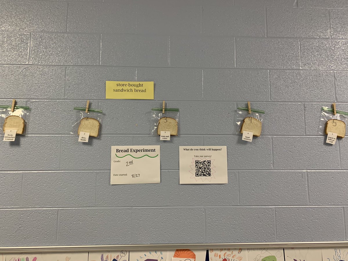 WalkerUtjenny's tweet photo. What started out as a lesson on germs turned into a lesson on food quality! After 3 weeks still no mold in the sandwich bread🤔. The bakery bread showed mold after just 3 days! @howellprincipal #buzzworthy #healthyfood #moldybread #preservatives @theTSIN https://t.co/IFWb0ZxkYB