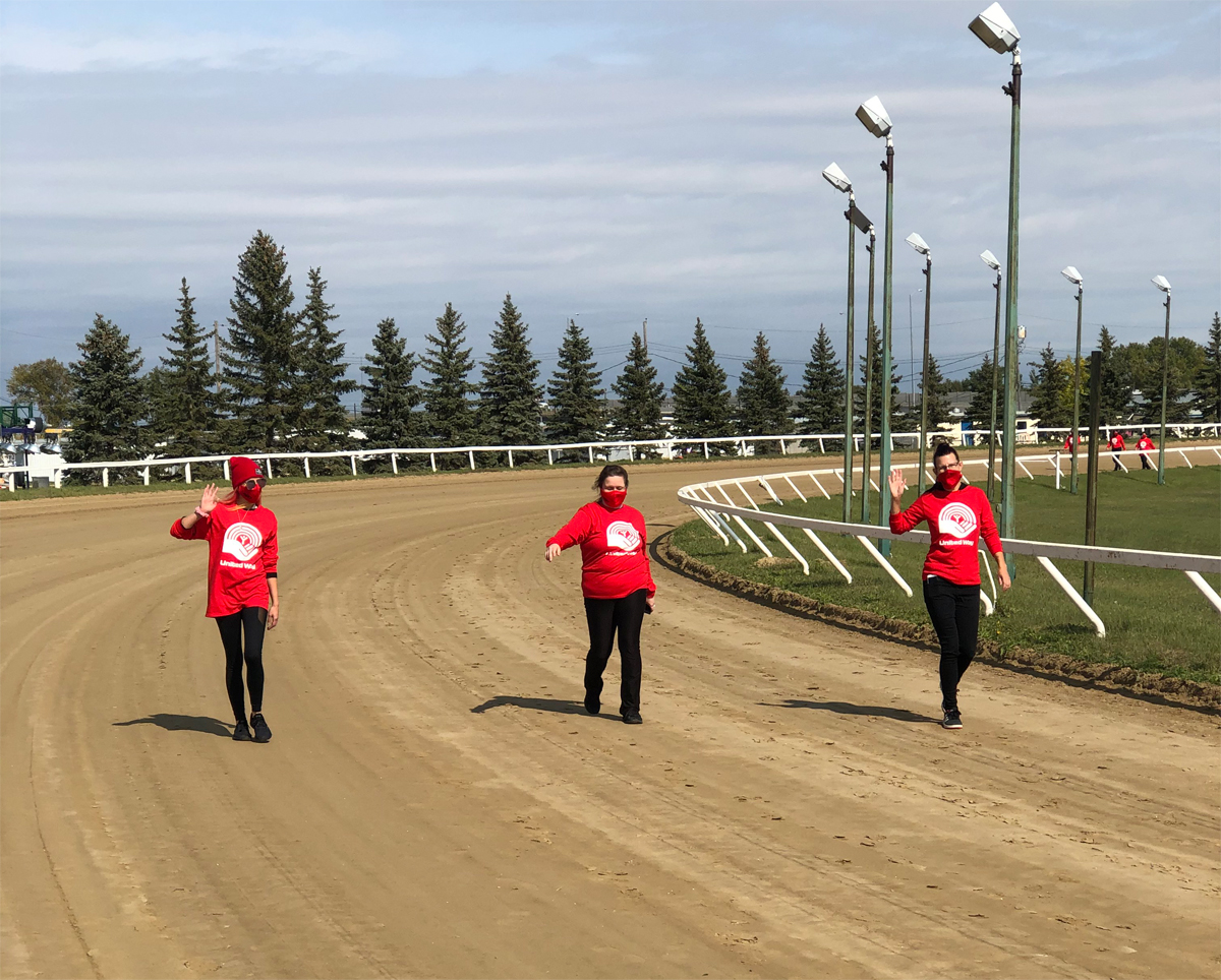 AssiniboiaDowns's tweet photo. Some of the horses in the @UnitedWayWpg 2020 #WalkThisWayWPG  #fundraising campaign at @AssiniboiaDowns today. None of them had any numbers on them, so we just bet on all of them to win. And they did! Thank you everyone! #UnitedWay #SocialGood #Winnipeg #Manitoba https://t.co/7yOcwy2Vbq