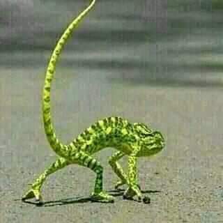 EmmanulBosco's tweet photo. Yaan mpaka mseme su! https://t.co/Twy1yWmsCT
