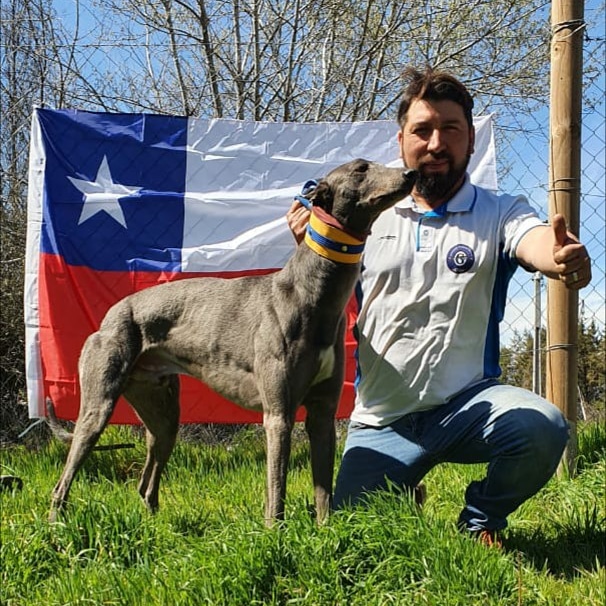 ChristianLaren2's tweet photo. Felices Fiestas Patrias, vivan los galgueros de Chile 🇨🇱, Viva Chile 🇨🇱 https://t.co/Dsyvd6fX9A