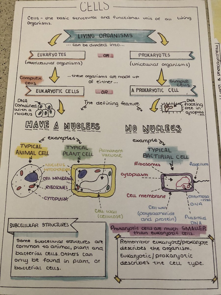 Witham Science tweet media