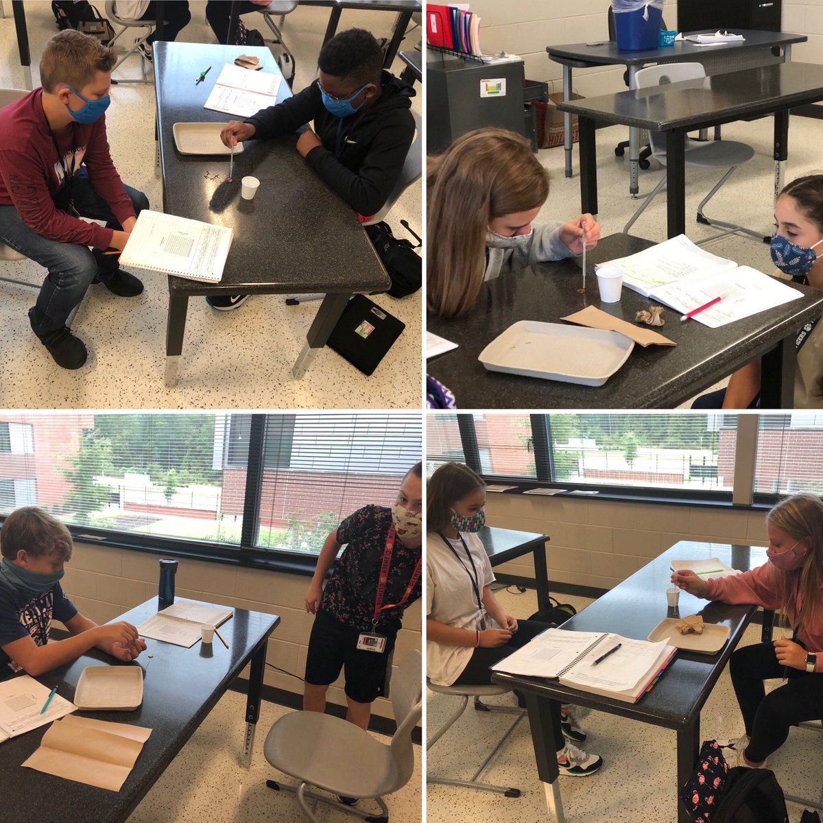 ChapinMiddle's tweet image. Mrs. Brophy’s 7th grade science students attempt their first socially distant lab to practice scientific method! #cmsscience #onehappyschool #pridein5 #lexrich5schools