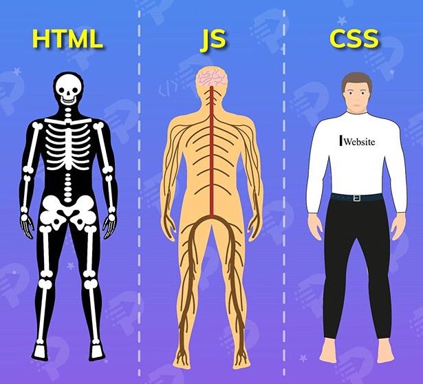 LearnSciences's tweet image. ⭕️ Explication des langages #html / #css / #js en photo. 

#informatique #computerscience #informatica #lcs