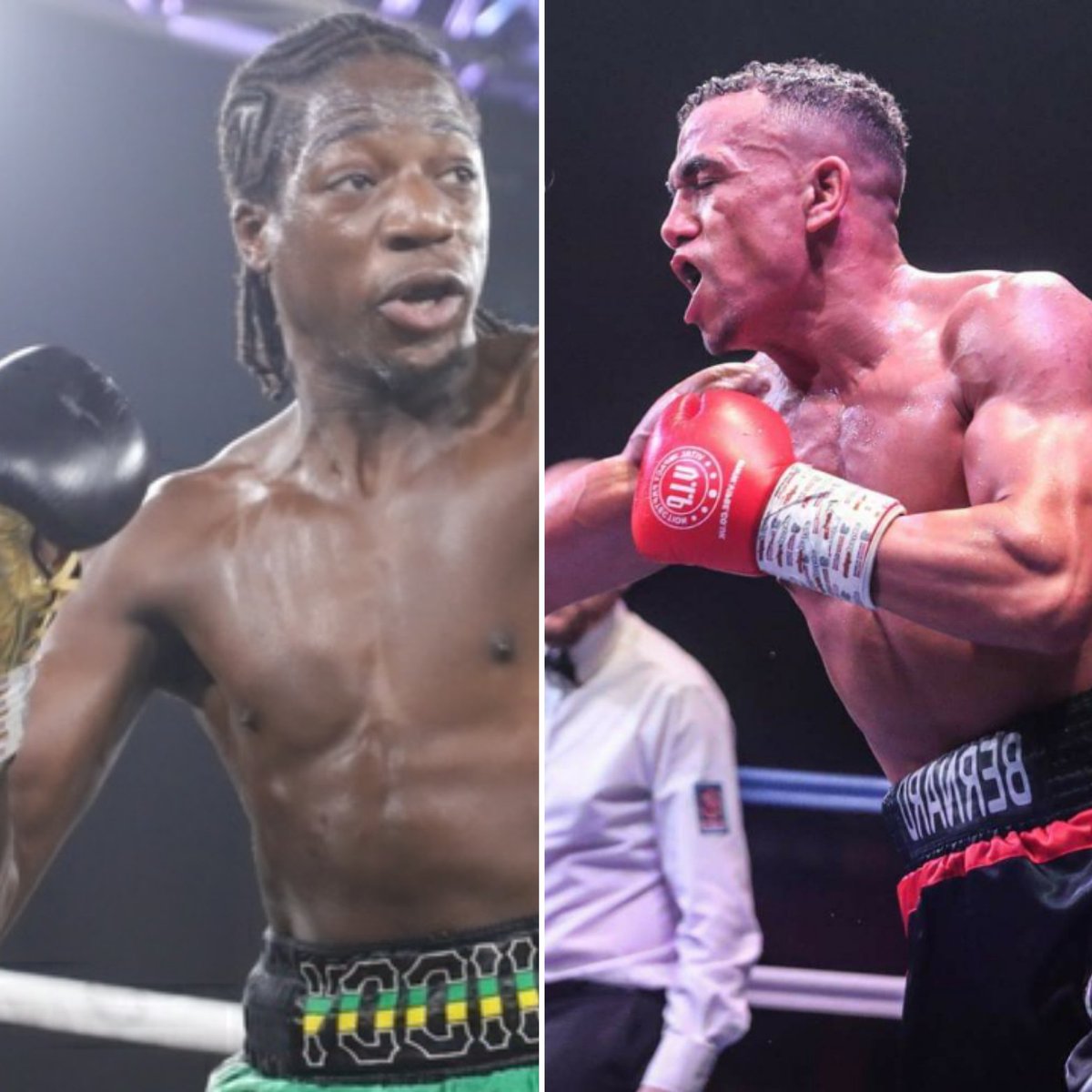 BenFieldsBoxing's tweet photo. I heard theres an 0 about #0taker
@Spencer_Fearon @Leeeaton88 @tundeajayi999 @jonpegg74 @leehogan6985 @MTKGlobal @cogan_shaun @RiiddyRiival @BenFieldsBoxing https://t.co/J4CC1nbQ6G
