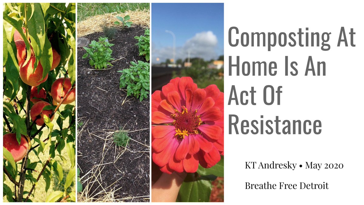 Breathefree313's tweet photo. @GAIAUS_CAN A2b: Detroit is working to implement multi-scale composting to increase our landfill diversion rate, move toward a zero waste city and increase accessibility to healthy soil for gardens, parks, and green space projects. #FiveDaysFiveWays #WasteJustice https://t.co/L2tQVHbnaz