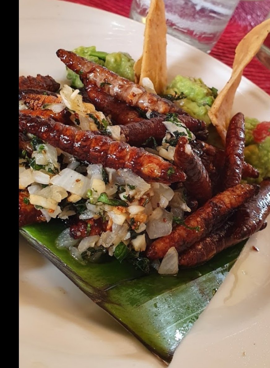 LasMercedesCDMX's tweet photo. “En la manera de agarrar el taco se conoce al que es tragón”, dice la voz popular. En @LasMercedesCDMX ofrecemos tacos de gusanos de maguey, escamoles, cochinita pibil o campechanos (carnitas y chicharrón) que se pueden acompañar con tequila o mezcal. ¿Gustan? https://t.co/9iETRCy02B