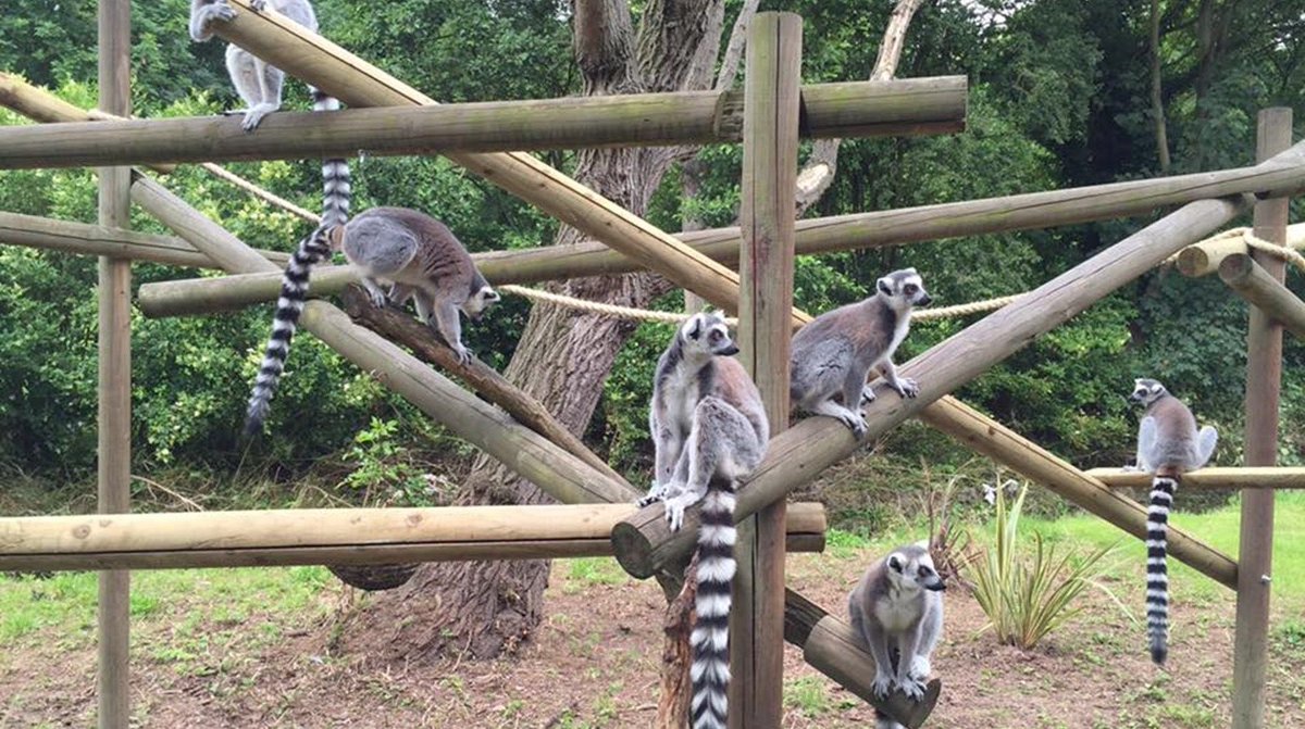 11. Birmingham Wildlife Conservation Park (Edgbaston)Essentially a mini zoo, nice for a sunny day to walk around, look at some animals and get to know somebodyPrice: £7/pp