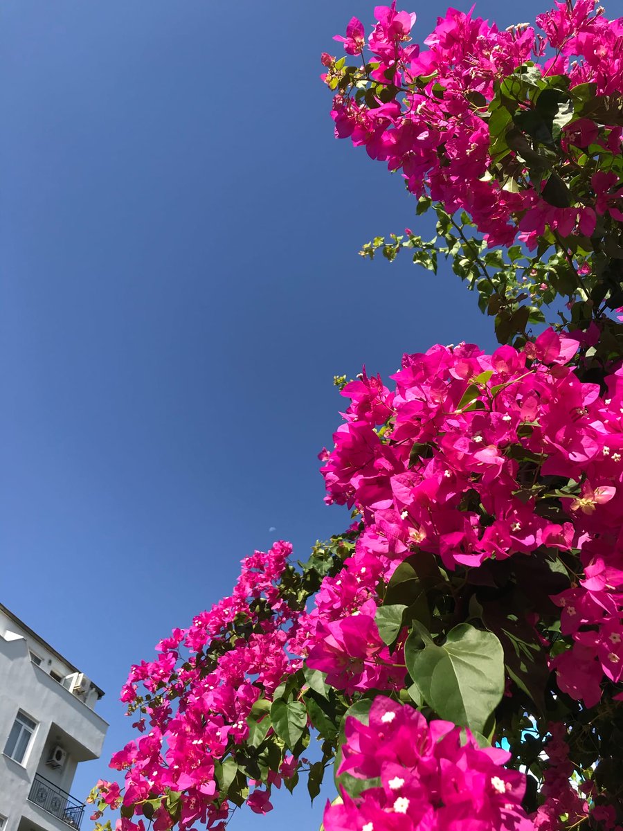 vasilyevaelena's tweet photo. #Turkey https://t.co/X3ujCqxwSY