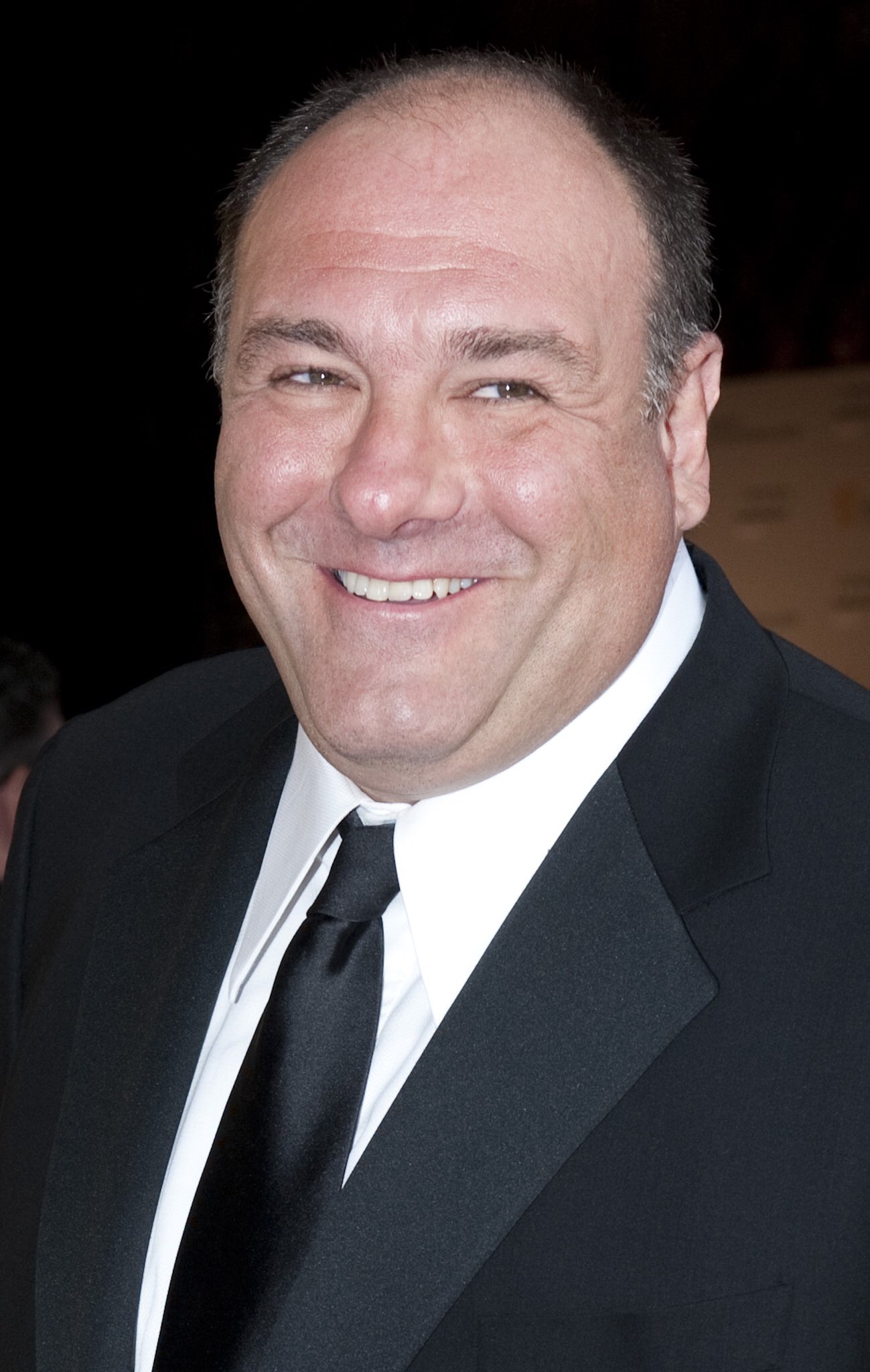Happy birthday to the incredible James Gandolfini. He would be 59 by now. It s too bad he passed away too soon. 