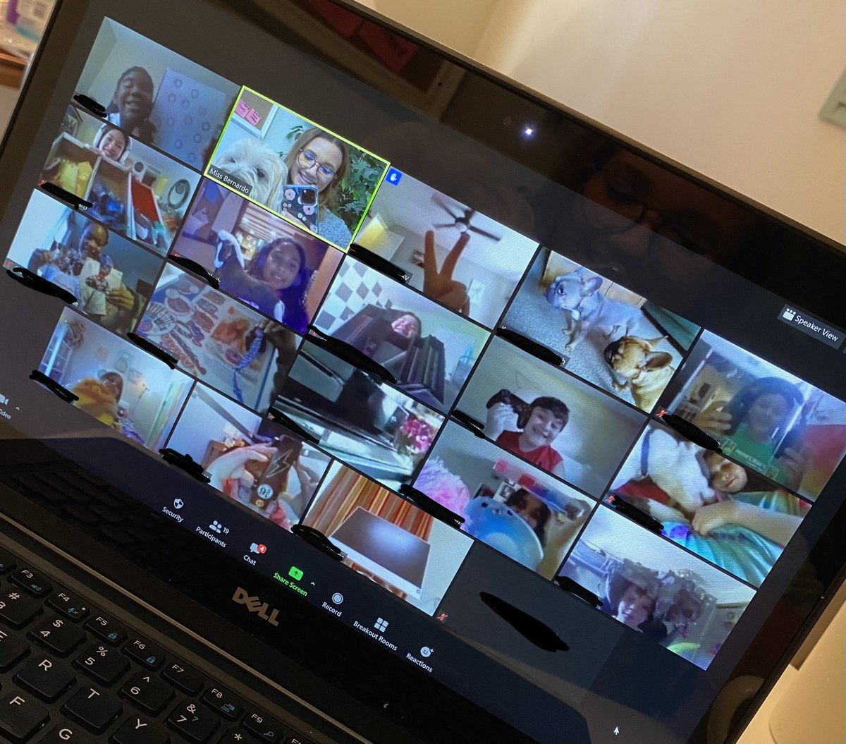 MissBernardo102's tweet photo. We took full advantage of being at home to share to the class what we love most! So much fun learning more about our classmates! #showandtell #LOTSofdogs #EinsteinExcellence 🐶🦎🎮🧸🖍🎖🎧🎒🐎🏎⌨️🖥 https://t.co/jdSg7lE9Tc