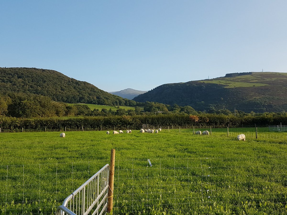 Dr Emily Cooledge tweet media