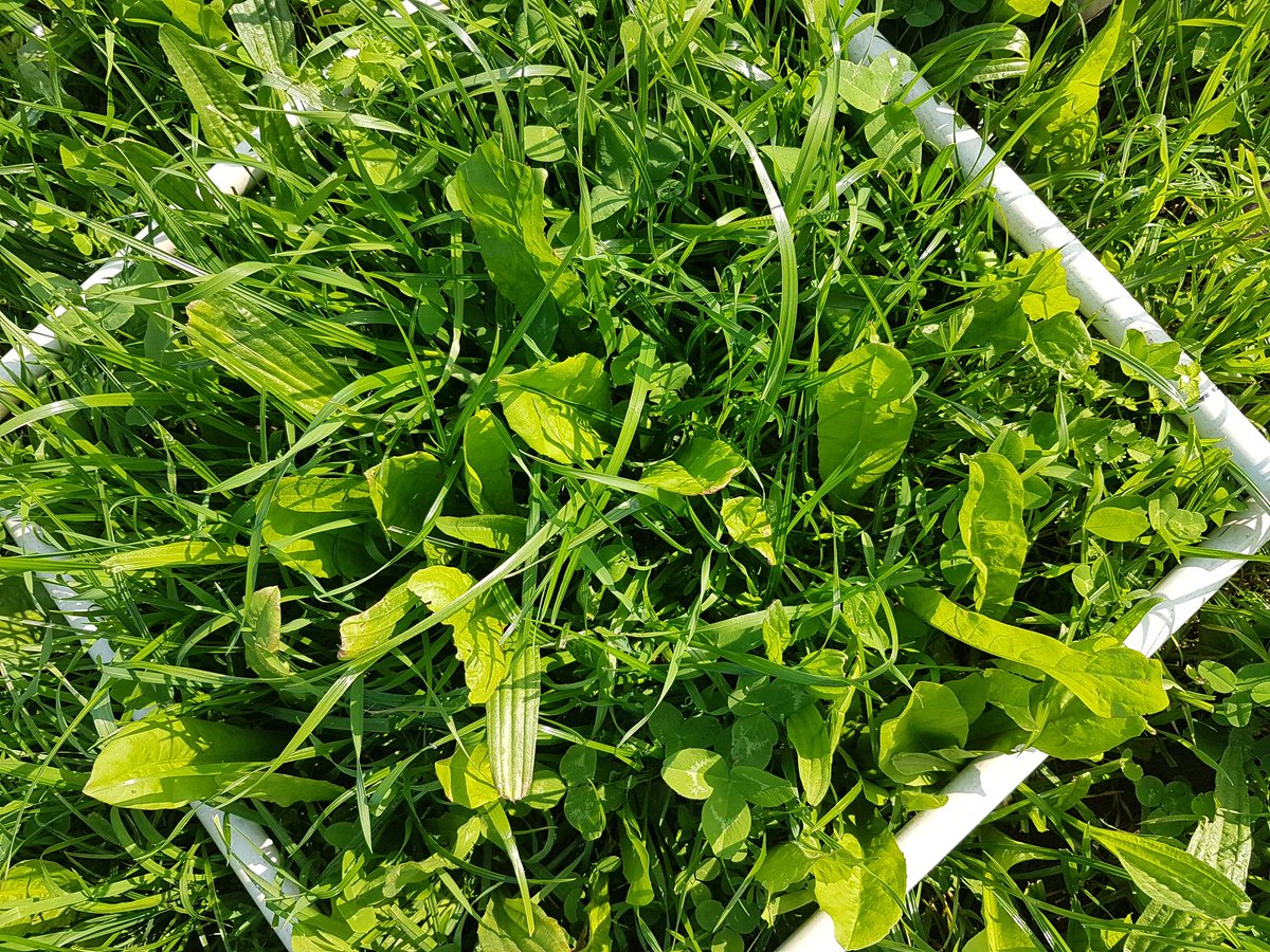 Dr Emily Cooledge tweet media