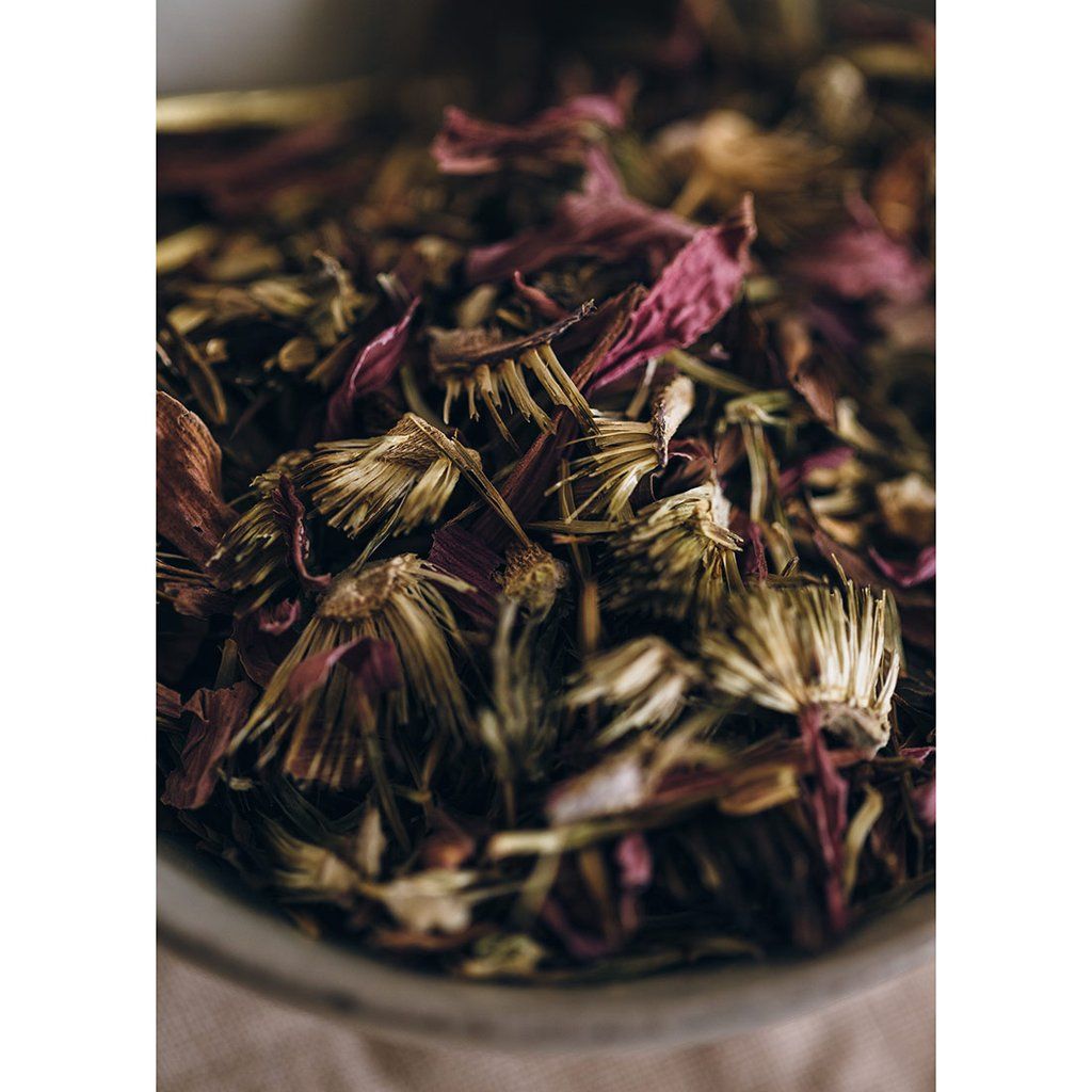 The Future Kept tweet media