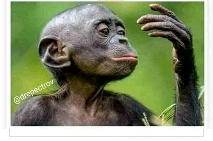 _Olabode_'s tweet photo. @e_okpoko @BBNaija The olosho character is really showing in Nengi.She is nothing but a confam olosho.A first class olosho for that matter. 
When u go to club and your eyes hit an olosho the character which she will portray from beginning to end of the clubbing session is what Nengi is displaying https://t.co/VNY15siExT