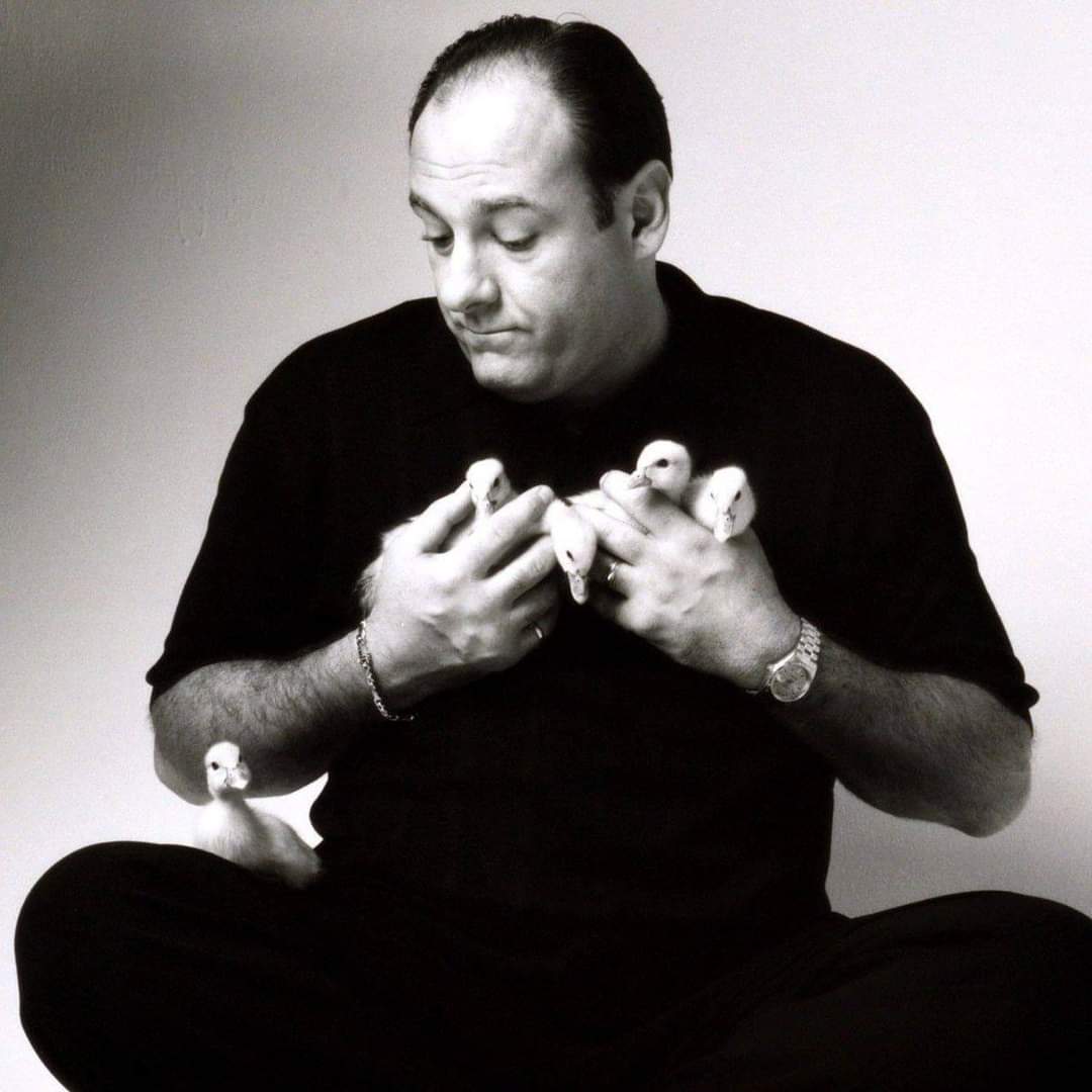 Maybe James Gandolfini and some ducks will cheer us up?
Happy Birthday... 