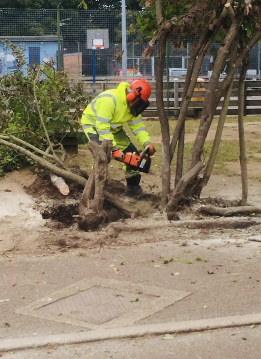 FencingUK's tweet photo. As well as being a Fencing Contractor. We can also offer cross cutting and tree surgeon services all our employees are trained with Lantra Certification. 
 #treesurgeon  #fencing  #construction #maintenance #ground #clearance https://t.co/XlL69xt97w