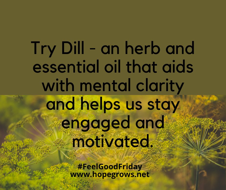 HopeGrows1130's tweet photo. Try Dill - an herb and essential oil that aids with mental clarity and helps us stay engaged and motivated. #ThinkCaregiver™ #FeelGoodFriday #Learning #Caregiversupport #Caregiverwellness https://t.co/2gYRa5sj7r