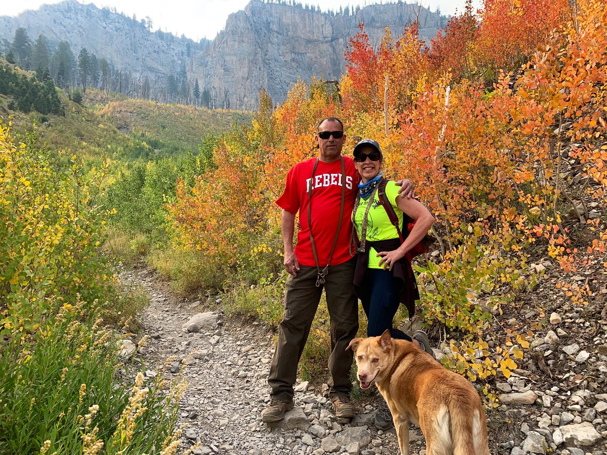 cbeckwith03's tweet photo. All this gorgoeus #fallfoliage is going on right now @GoMtCharleston #Fall2020 #FallHasFallen #hiking #hikingadventures #WeLoveToHike
βFall reminds us that change is goodβ
πβ€οΈπβ€οΈπ https://t.co/1KpzQ8TgrB