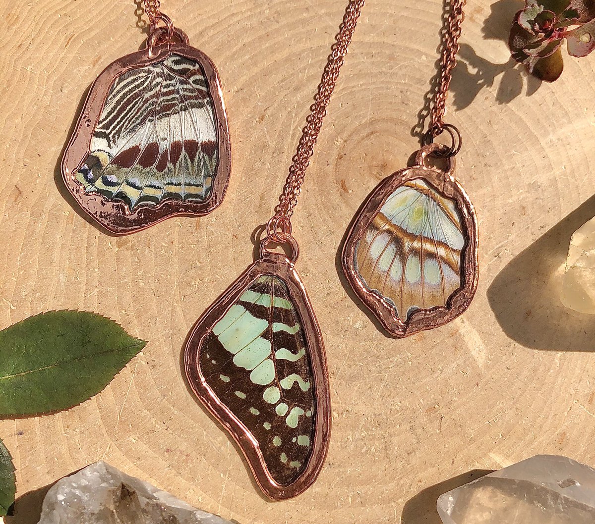 Copperashes's tweet photo. WINGS AND THINGS at https://t.co/KLtzuJXD8S 🦋 https://t.co/weOGAV2bdr