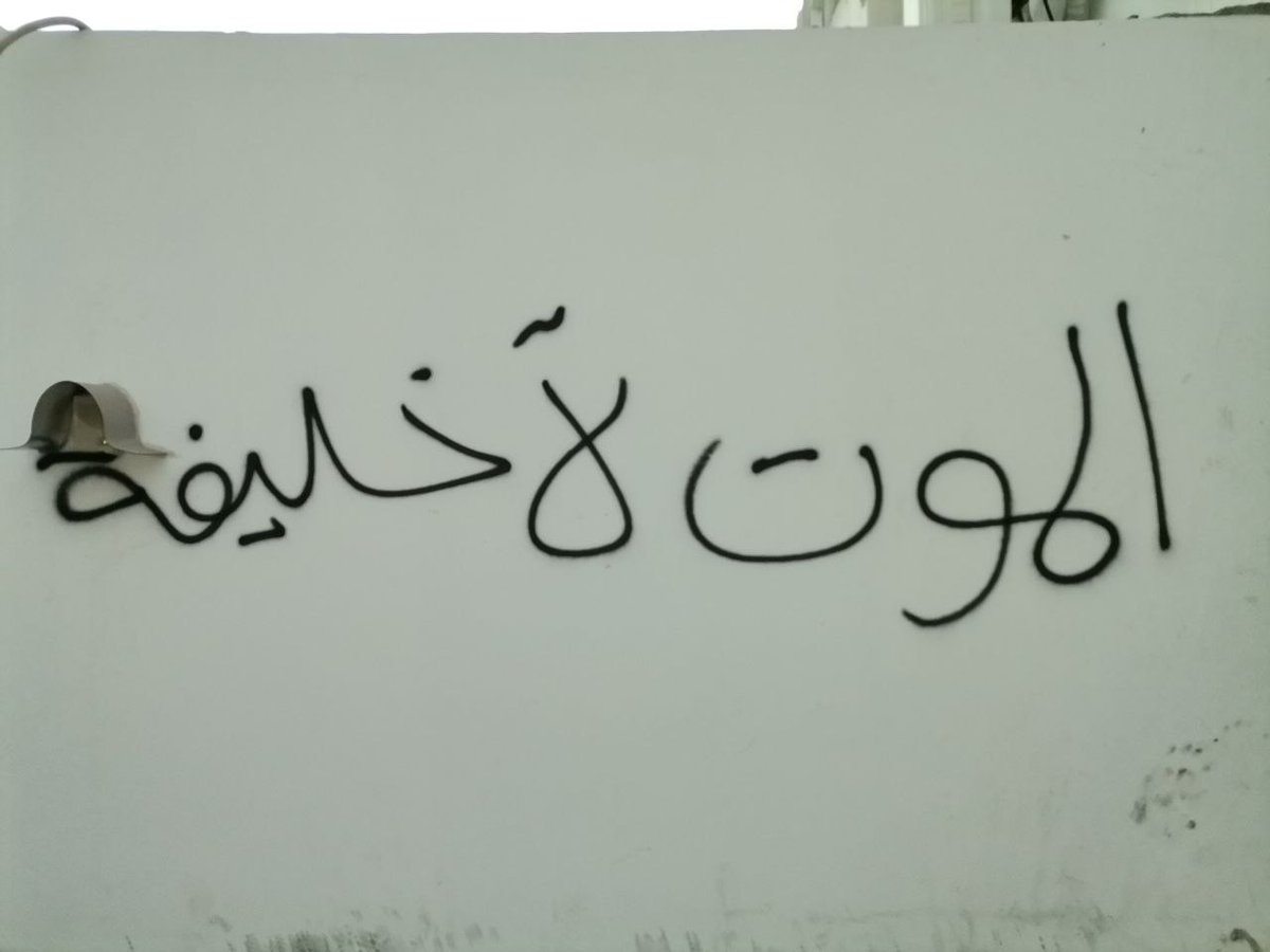 صوت المعامير tweet media