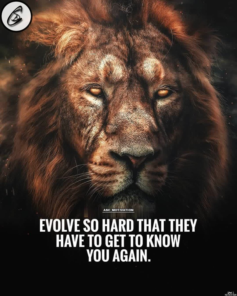 ascmotivation's tweet photo. #developyourself #faster and #hardwork.🦁💪
#evolvesohard #successful #creatingyourself #lionquotes #lion #lionmode #successtips #lifequotes #quotes #educationalquotes #fridaymotivation #entrepreneurquotes #quoteoftheday #dailymotivation #motivation #inspiration #ASC_MOTIVATION https://t.co/hhXc1972uy