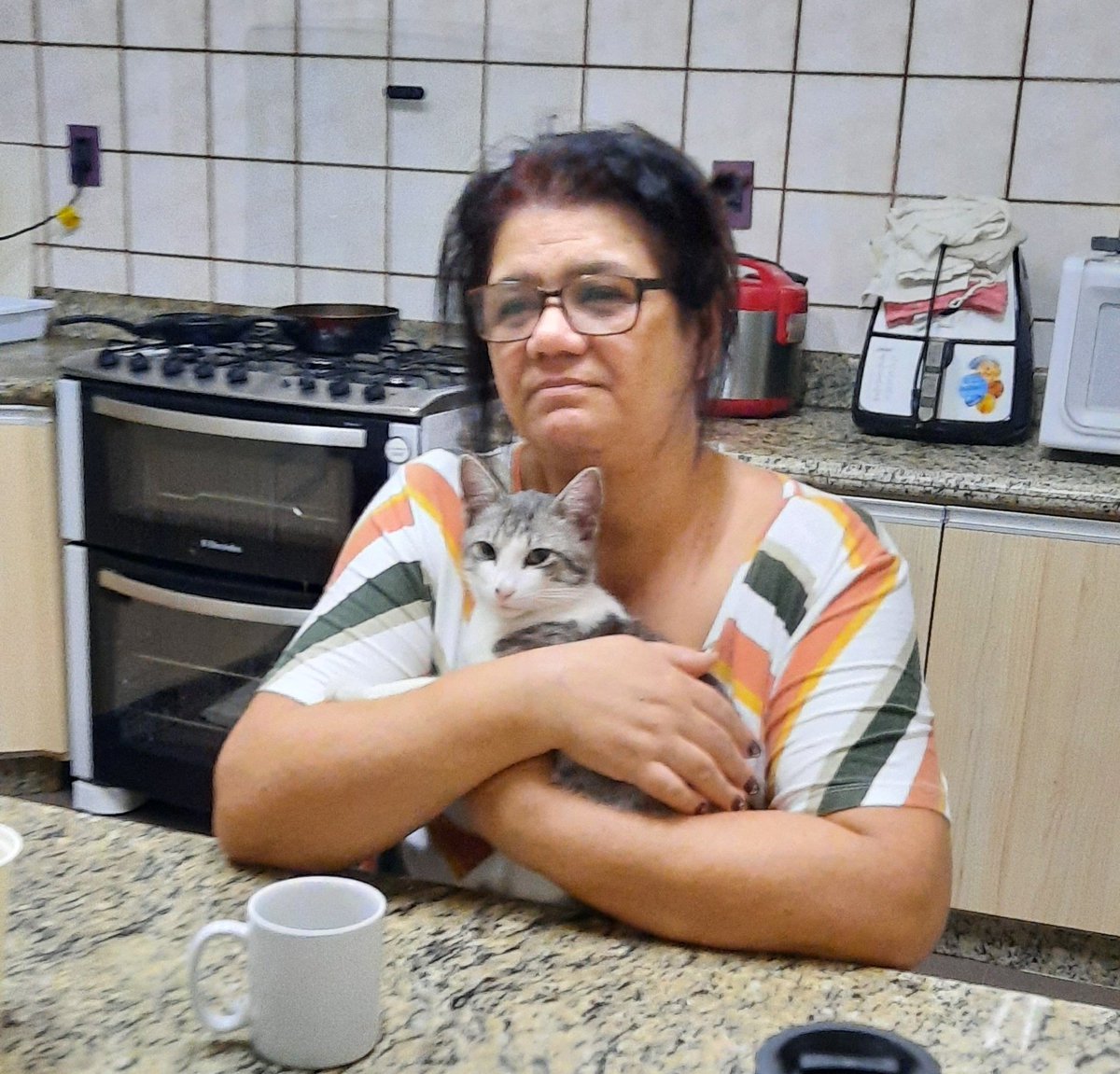 ellyvante's tweet photo. mãe: eu não  vou ter mais um gato
Minha mãe  com o Bob https://t.co/FUDxmtlAHB