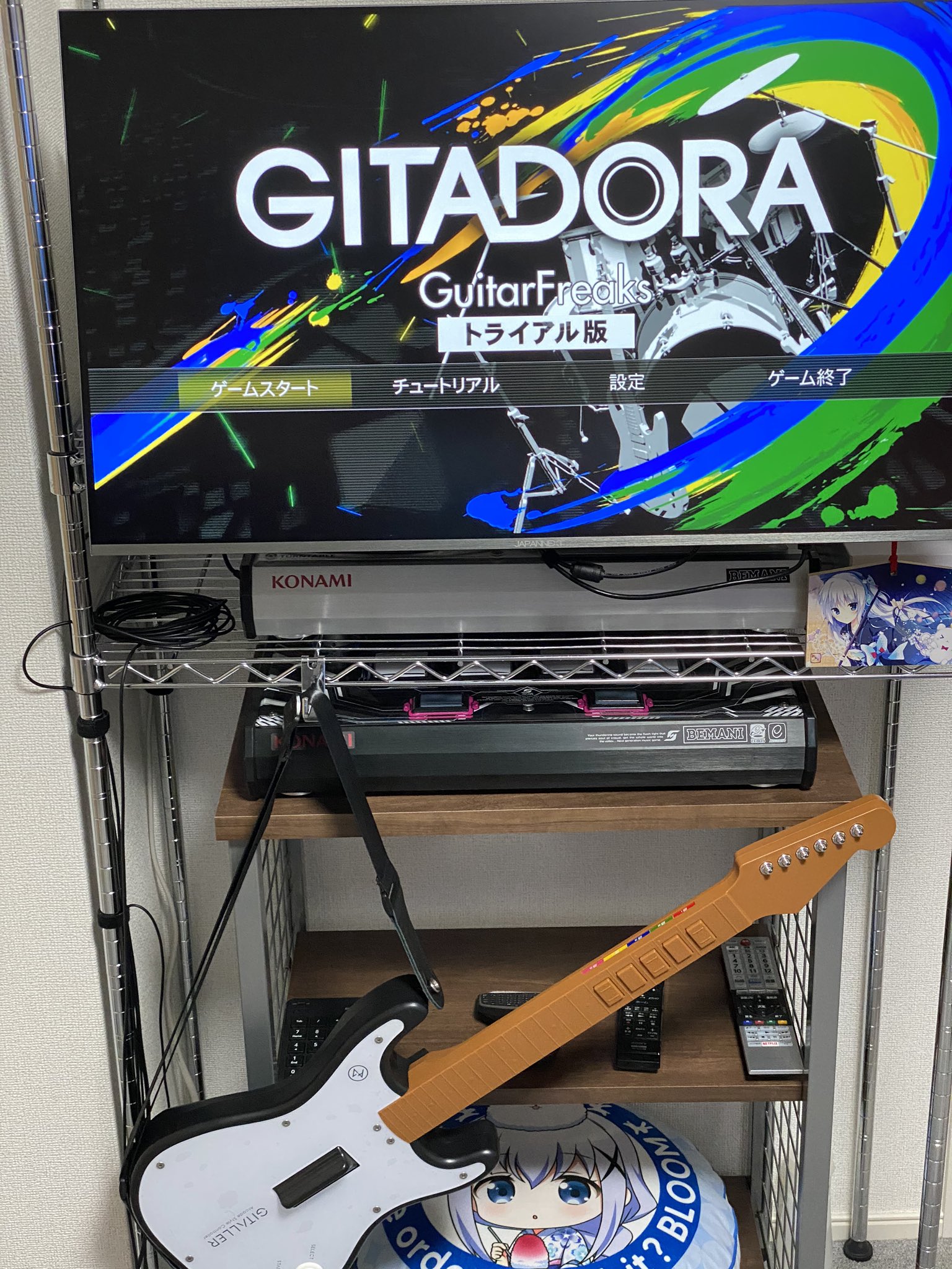 シリアルシール付 GITALLER | www.birbapet.it