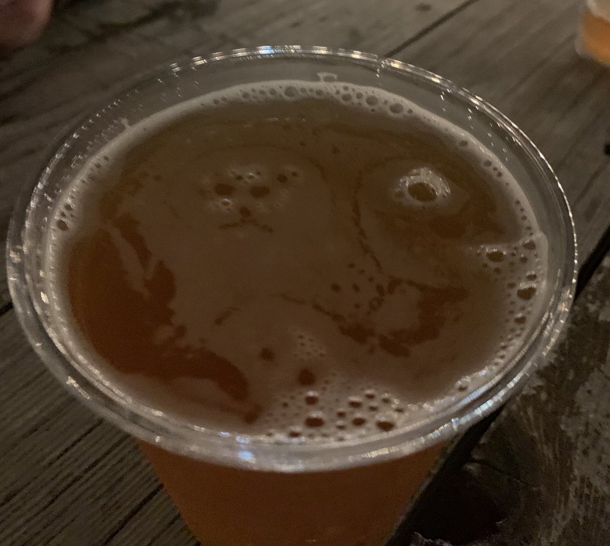 There’s a bear in my Racer 5. #rionido #rionidoroadhouse <a href="/bearrepublic/">Bear Republic</a>