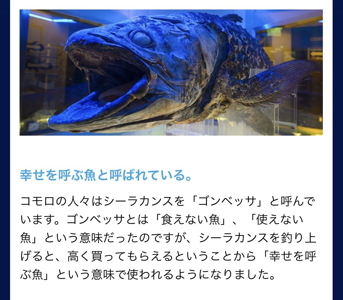 Tomato Tomato Nasuka Twitter