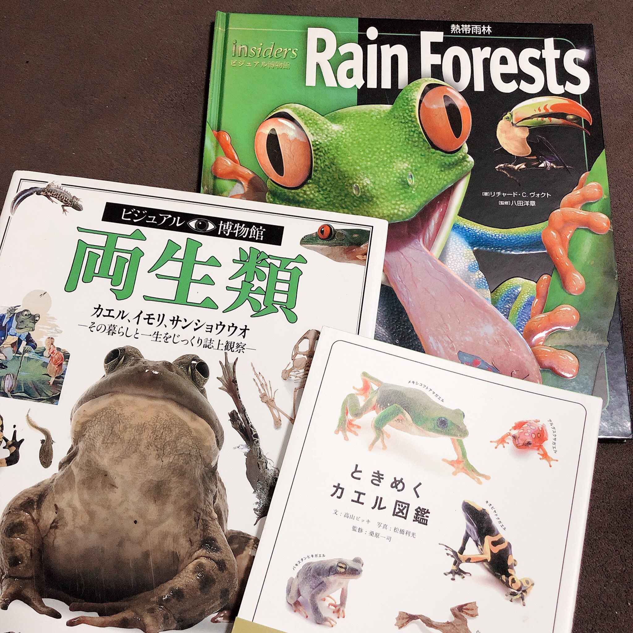 あるごん Argon Pe Twitter ついでにカエルの文化面で読みやすくてオススメ3選 ときめくカエル図鑑 透明感のある写真が美しい 人との歴史なども面白い ビジュアル博物館 両生類 写真が大きくて最高 全部のページが面白い 熱帯雨林 カエルを取り巻く環境が