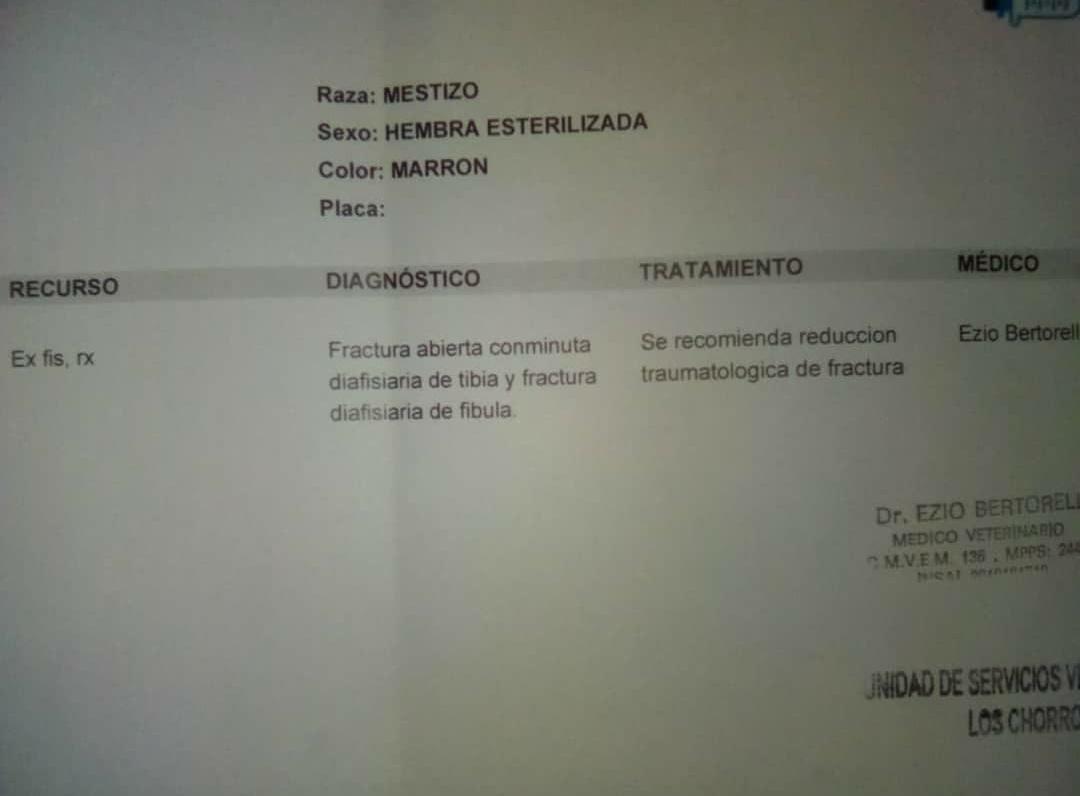 Darvinson Rojas Sánchez tweet media